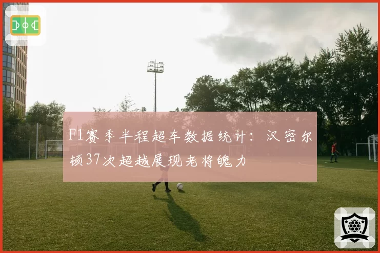 F1赛季半程超车数据统计：汉密尔顿37次超越展现老将魄力