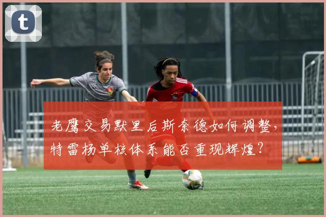 老鹰交易默里后斯奈德如何调整,特雷杨单核体系能否重现辉煌?