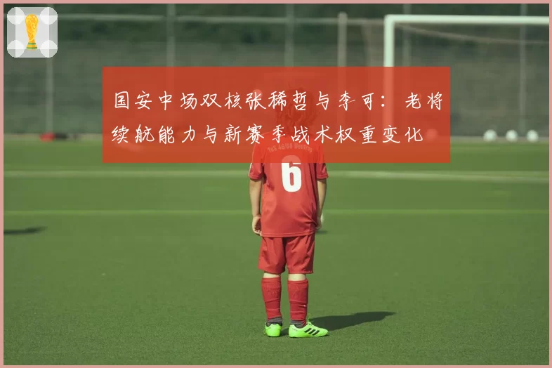 国安中场双核张稀哲与李可：老将续航能力与新赛季战术权重变化