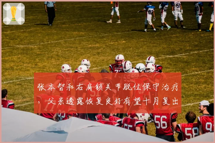 张本智和右肩锁关节脱位保守治疗，父亲透露恢复良好有望十月复出
