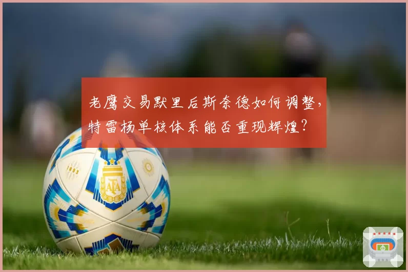 老鹰交易默里后斯奈德如何调整,特雷杨单核体系能否重现辉煌?